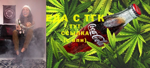 индика Куйбышев