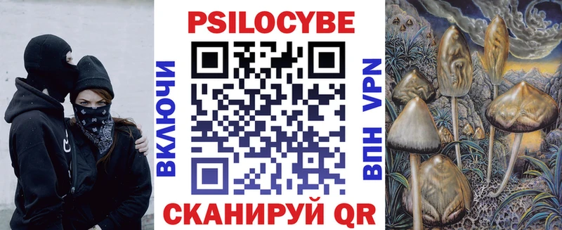 Псилоцибиновые грибы мицелий  Купить закладки  Мезень 