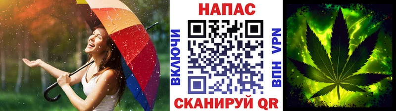 Купить  Мезень  МАРИХУАНА индика 